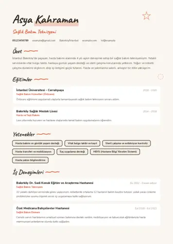 Tekniker ve Teknisyen Cv Örnekleri cv indir